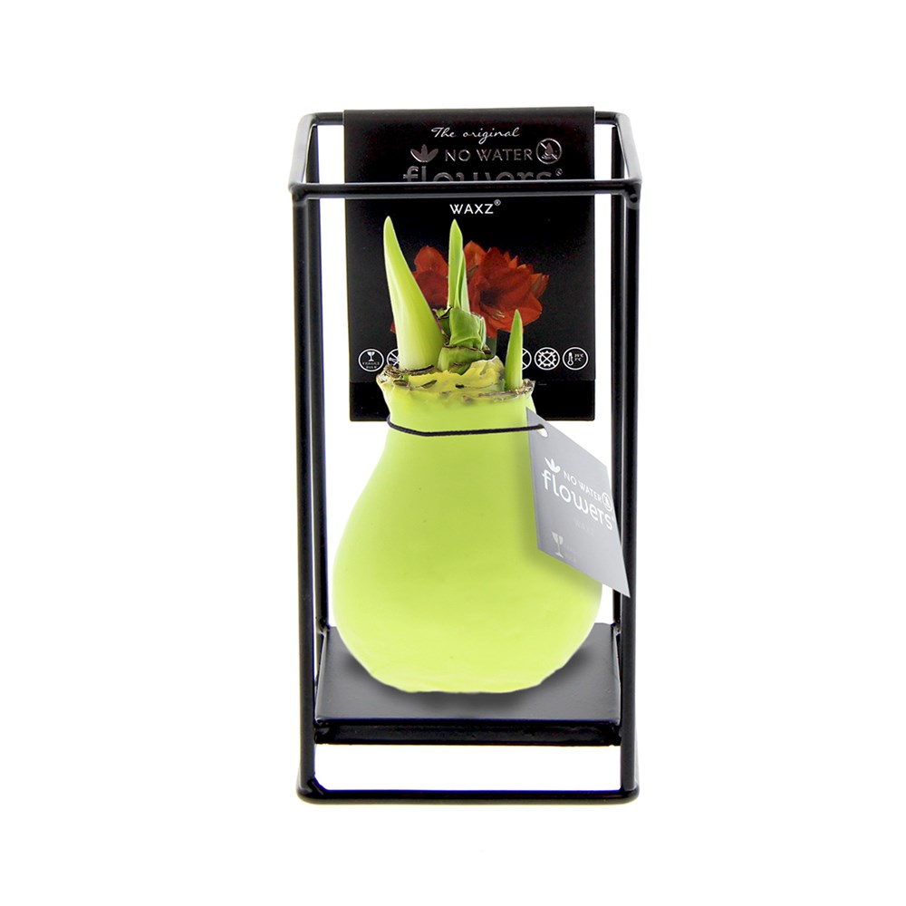 No Water Flowers® - Formz industrial - pastel groen