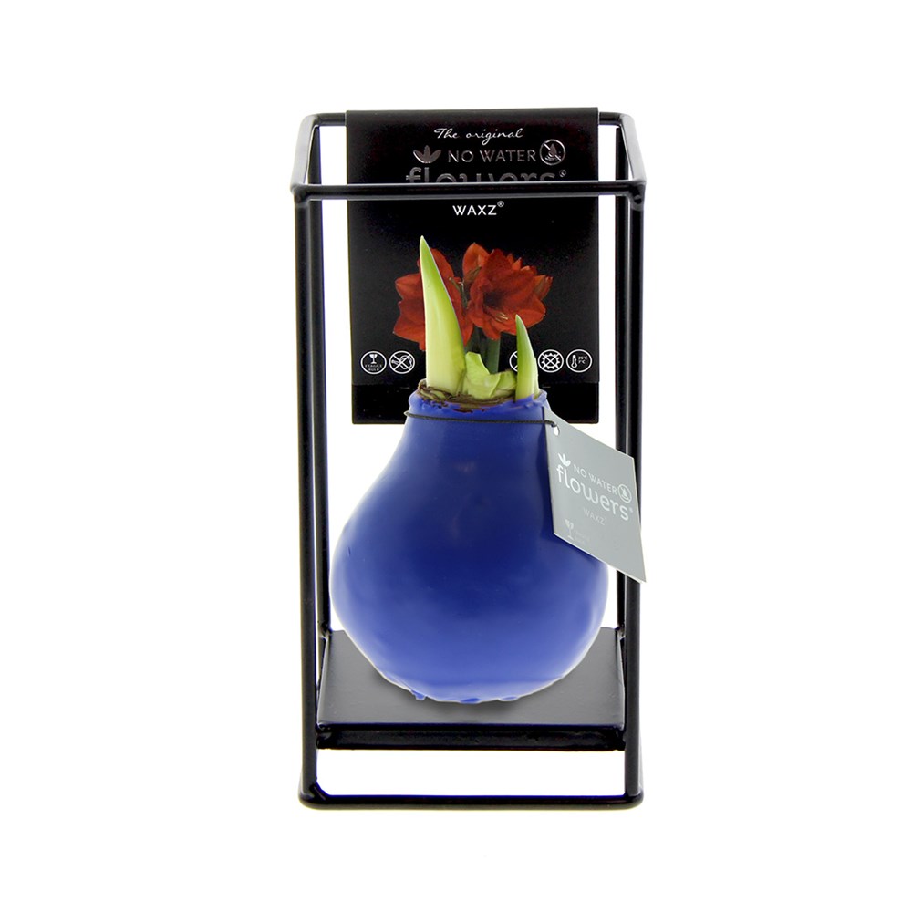 No Water Flowers® - Formz industrial - blauw