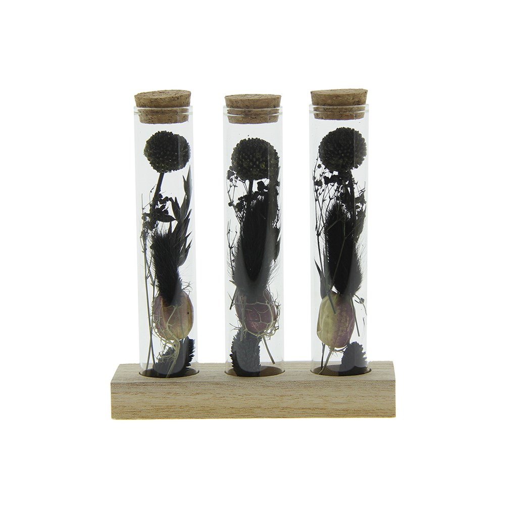Dried Flowers - Trio tube & wood - zwart