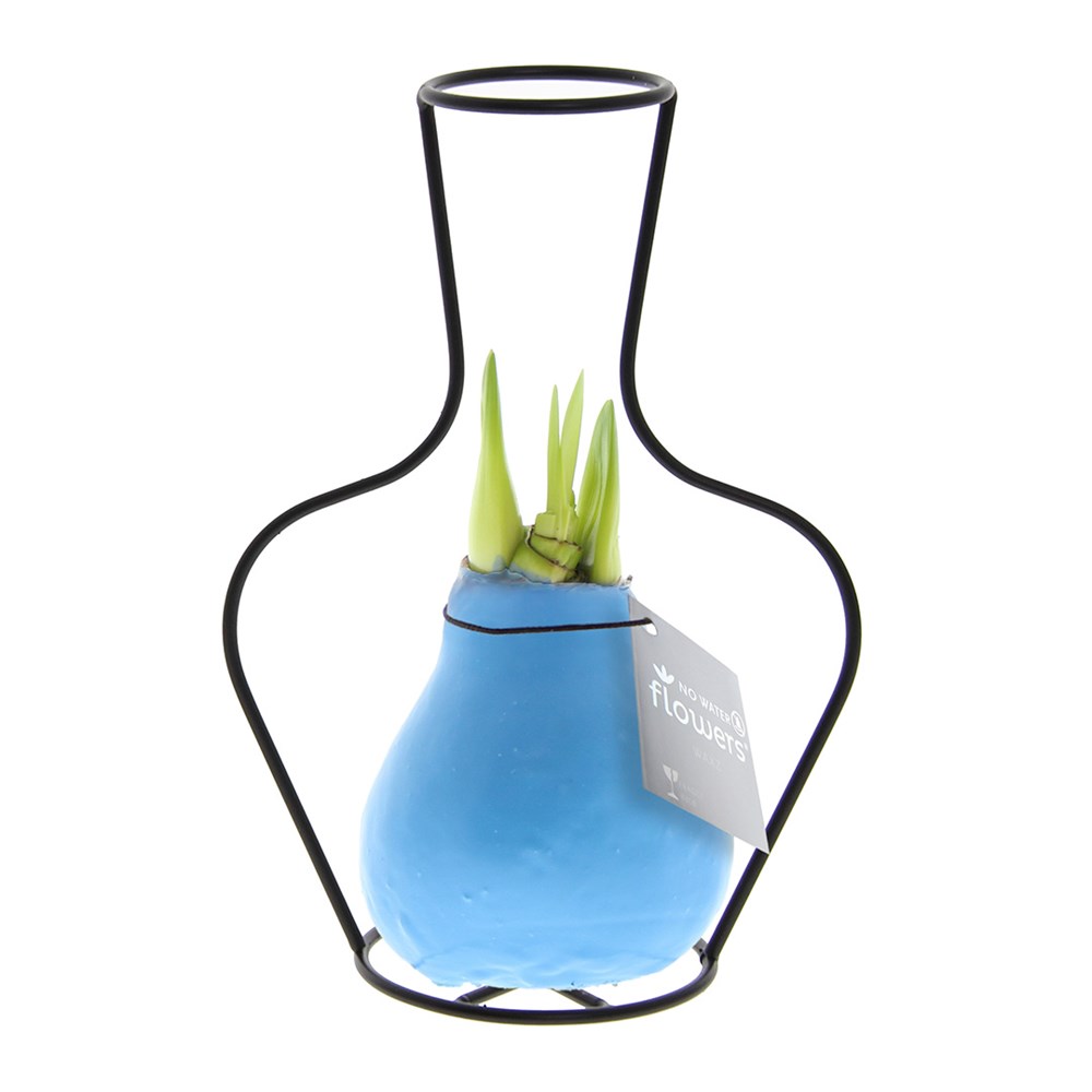 No Water Flowers® - Formz classic - pastel blauw