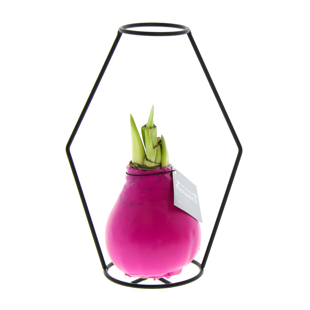 No Water Flowers® - Formz modern - roze