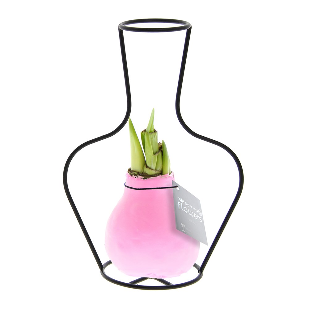 No Water Flowers® - Formz classic - pastel roze