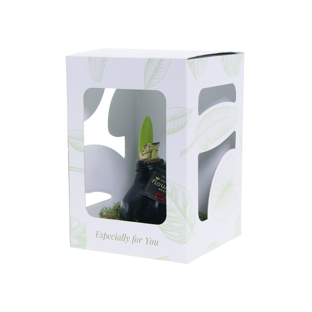 No Water Flowers® - Waxz® on golden dish, In giftbox, Goud