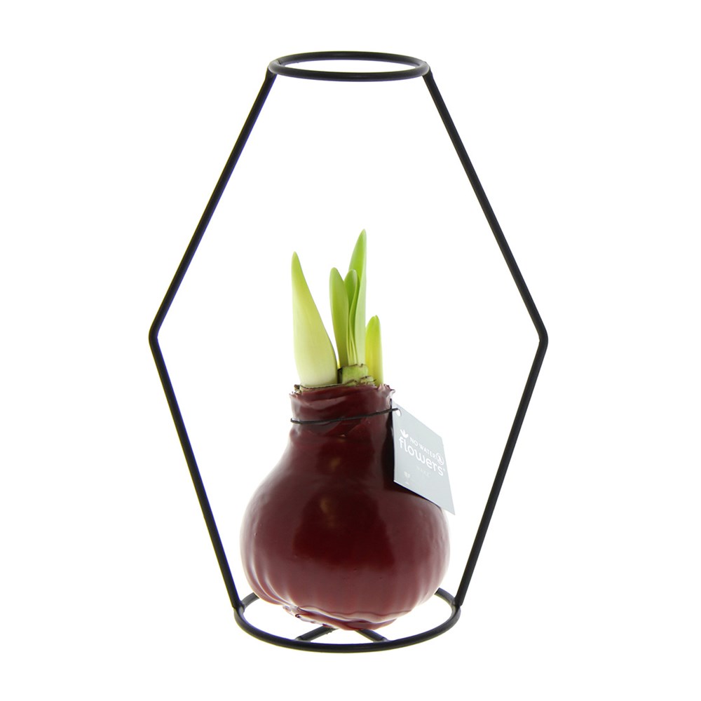 No Water Flowers® - Formz modern - Bordeaux