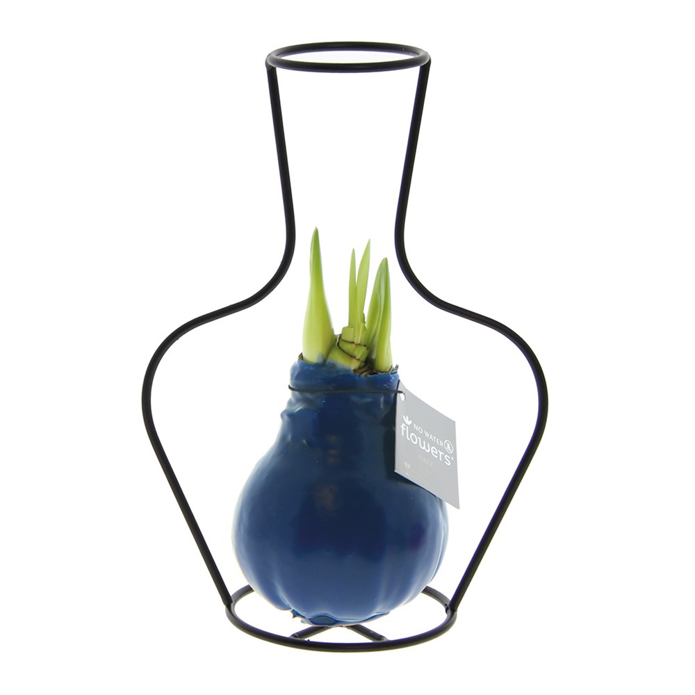 No Water Flowers® - Formz classic - donkerblauw