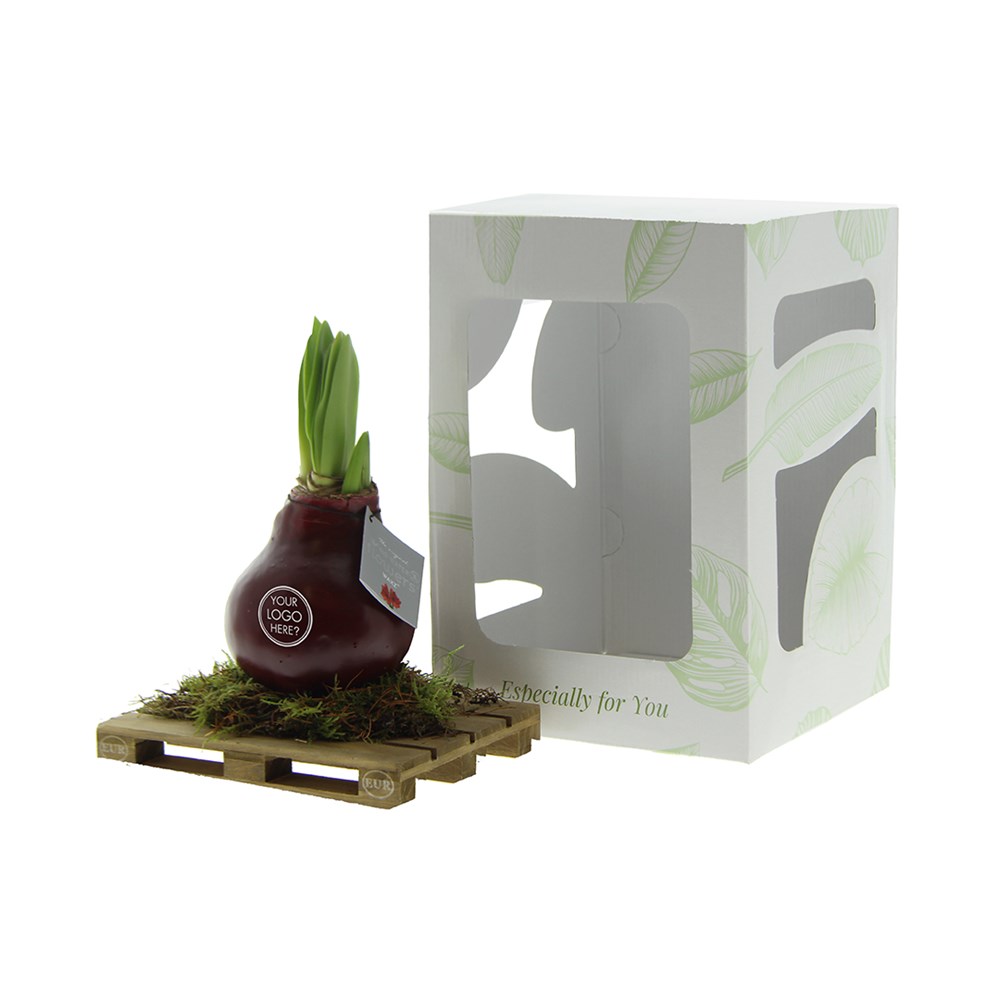 No Water Flowers® - Waxz® on pallet, In giftbox, Pastel groen