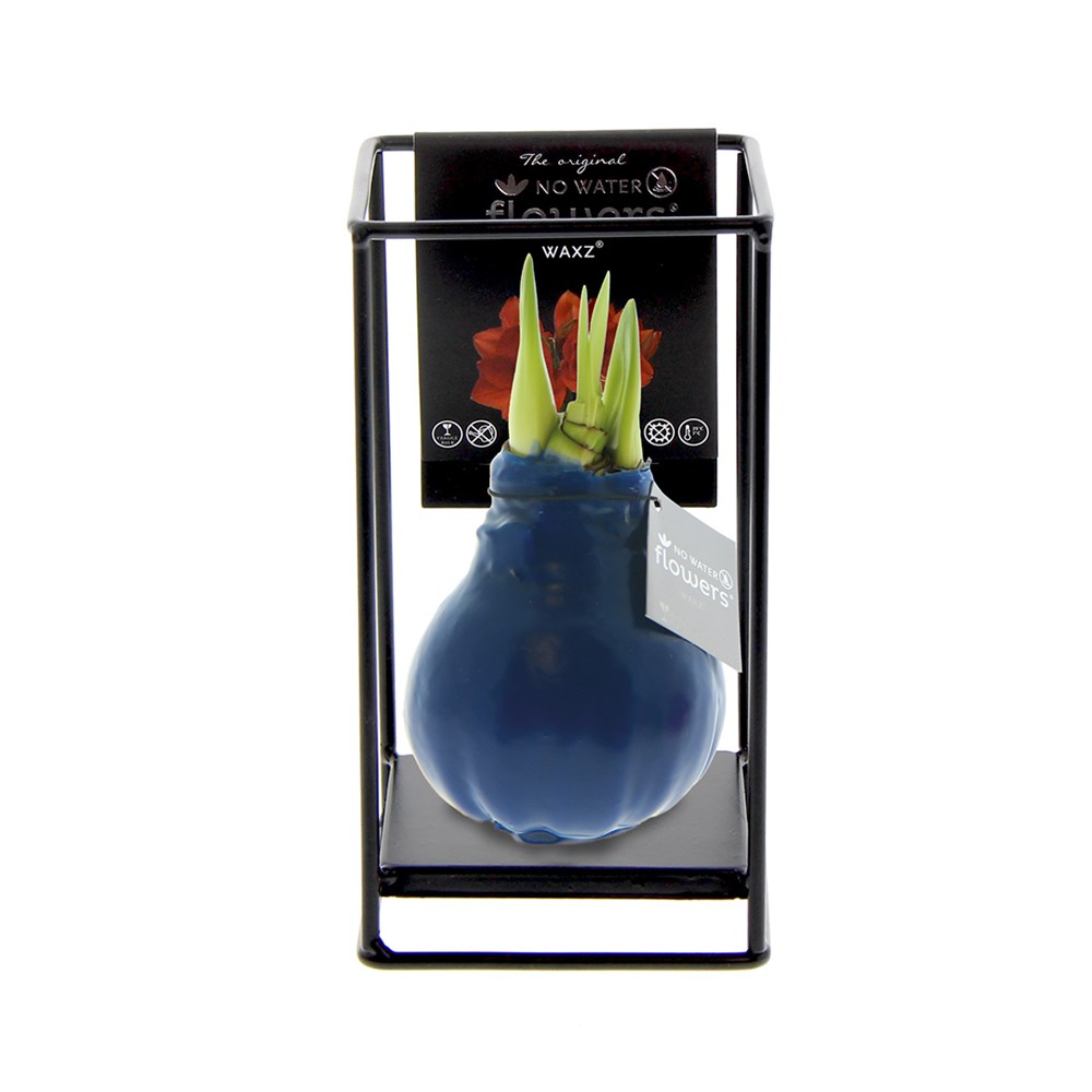 No Water Flowers® - Formz industrial - donkerblauw