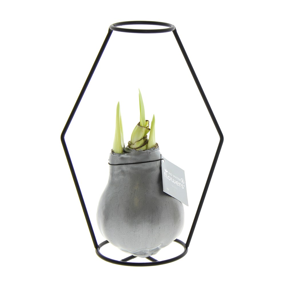 No Water Flowers® - Formz modern - Zilver