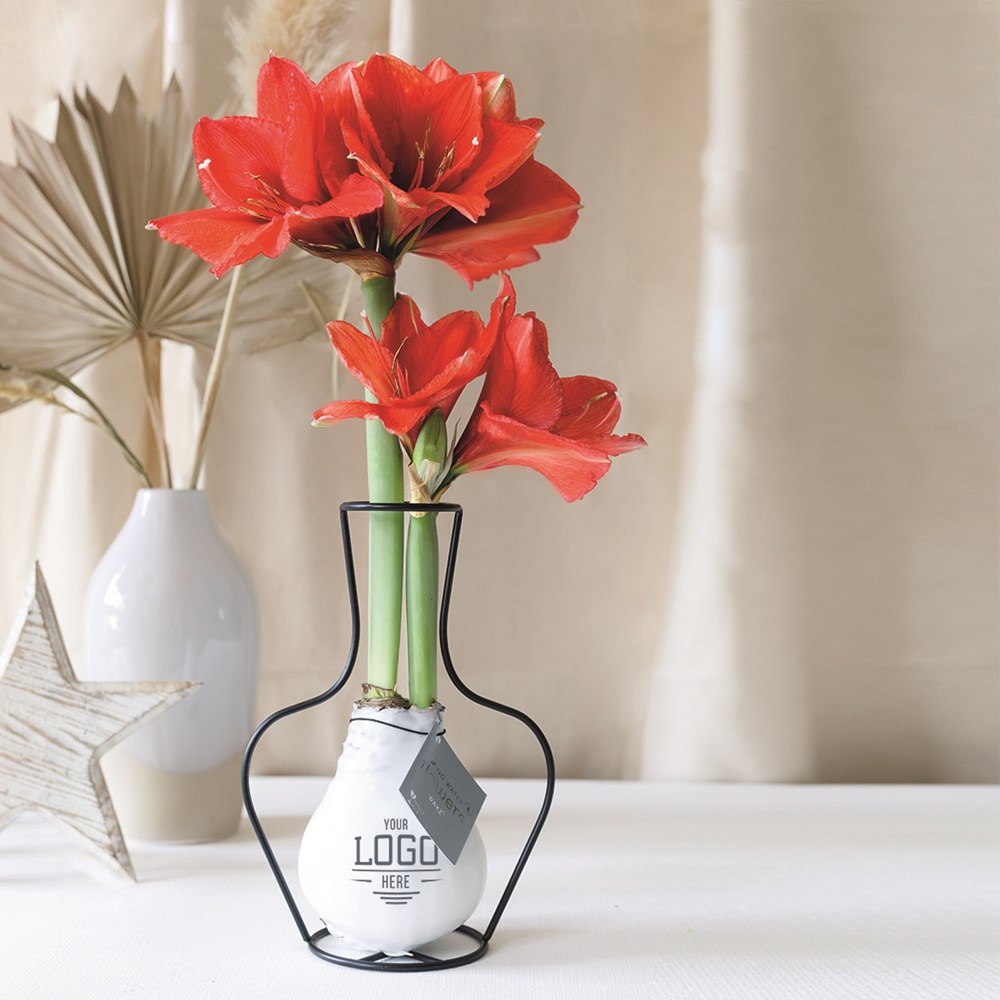 No Water Flowers® - Formz classic, Zonder verpakking, Zwart