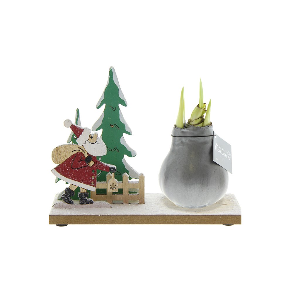 No Water Flowers® - Winter Wonderland - Zilver