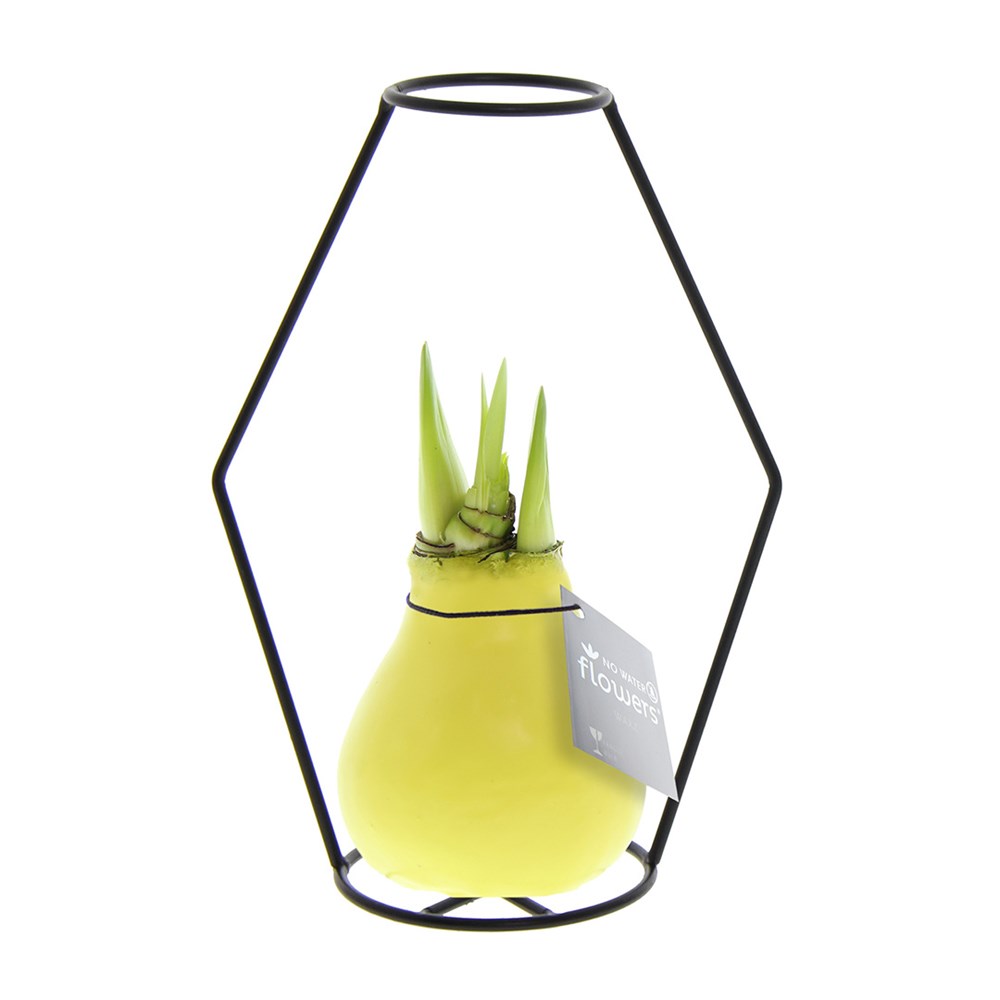 No Water Flowers® - Formz modern - Pastel geel