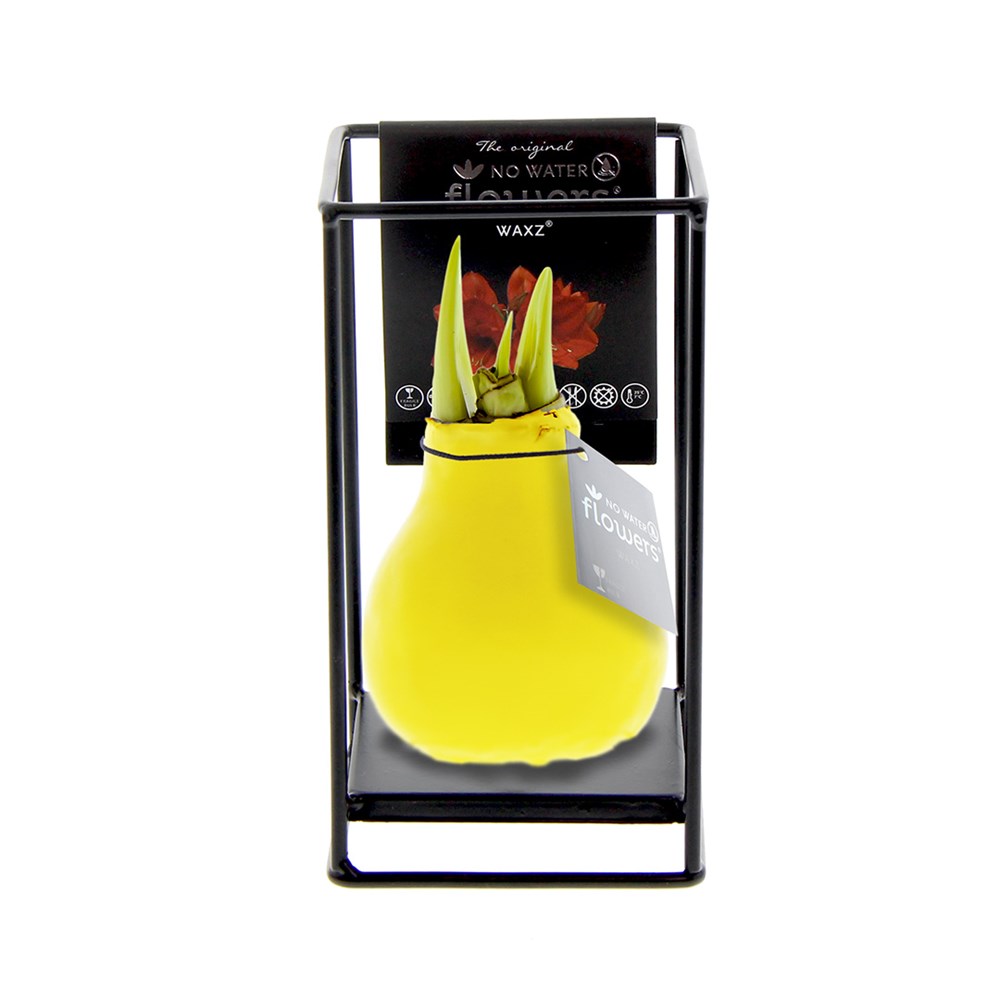 No Water Flowers® - Formz industrial - geel