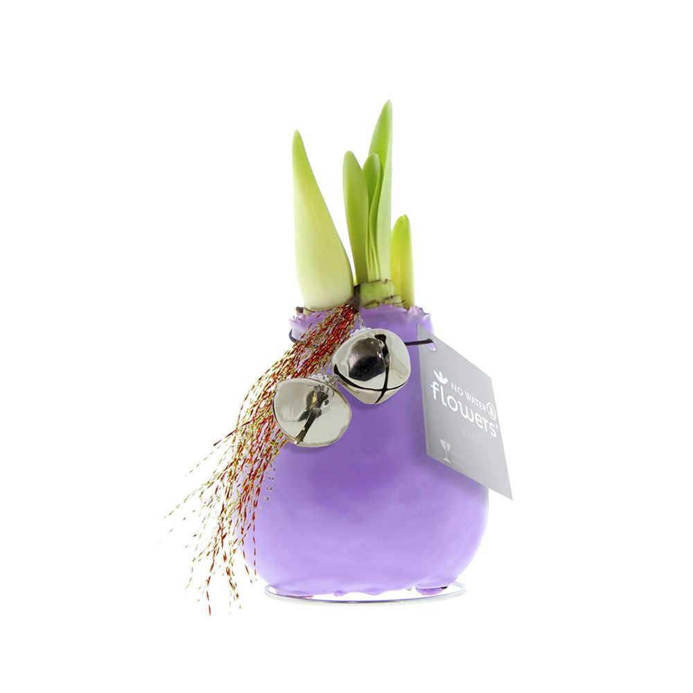 No Water Flowers® - Jingle Bellz - Pastel paars