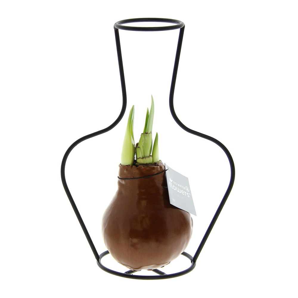 No Water Flowers® - Formz classic - Koper