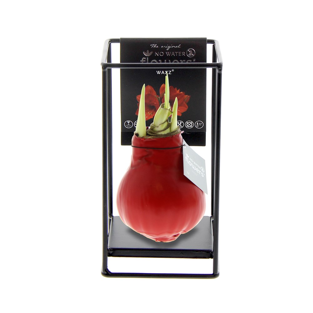 No Water Flowers® - Formz industrial - rood