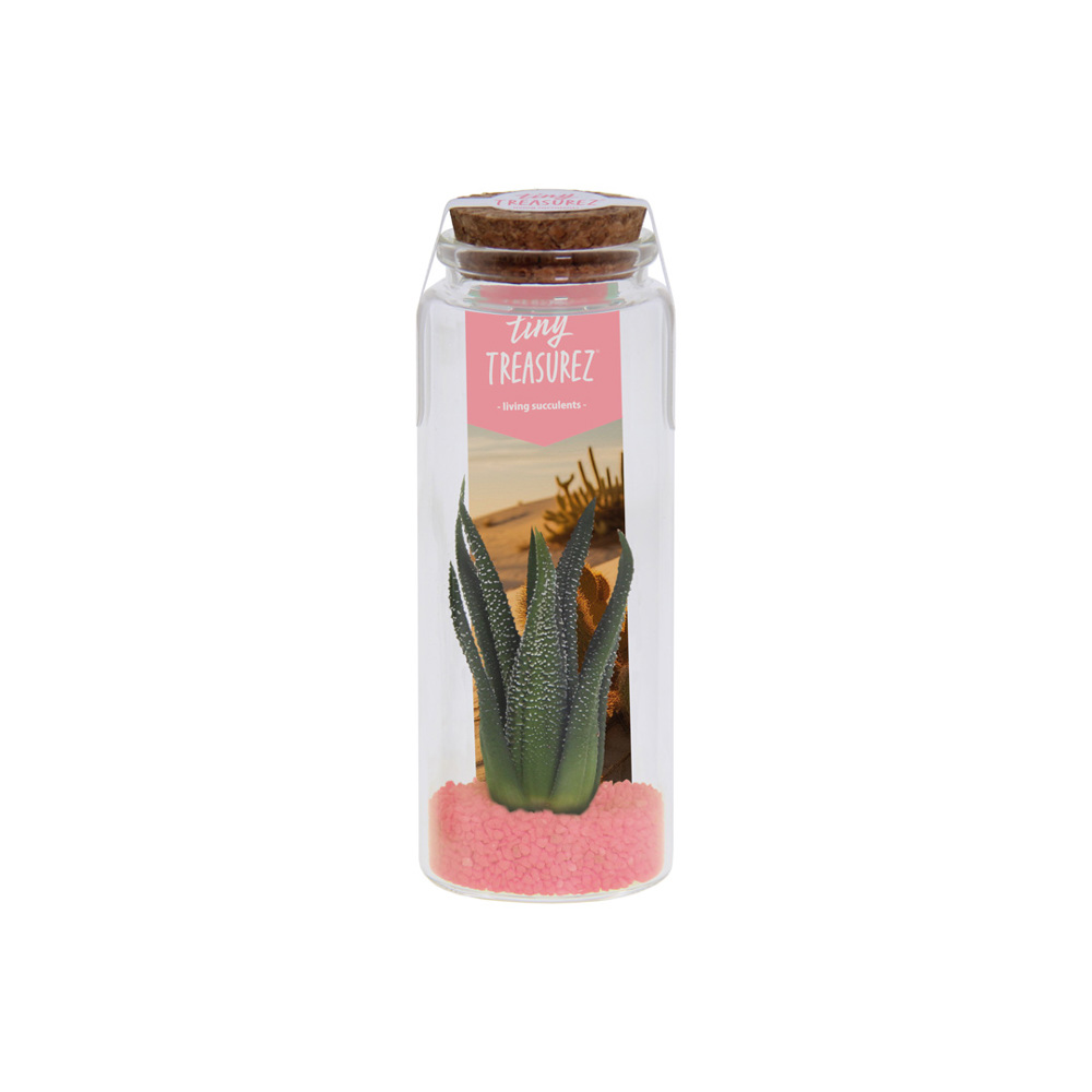 Tiny Treasurez® - Message in a bottle large - Licht roze