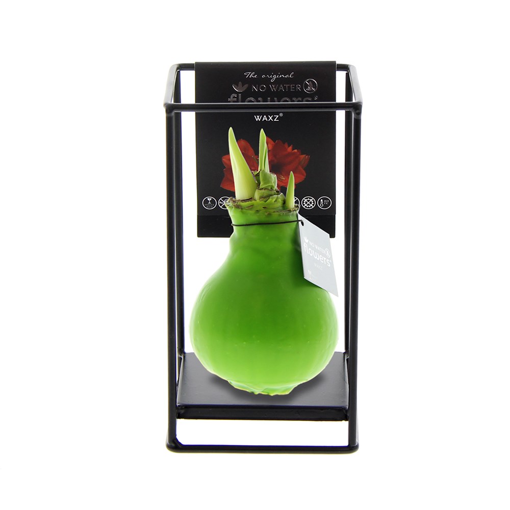 No Water Flowers® - Formz industrial - lichtgroen