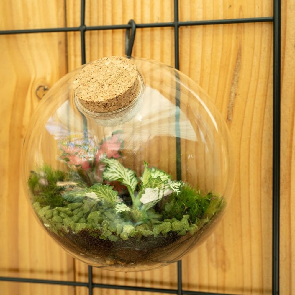 Wardians® Ecosystem - Wall hanger small, Zonder verpakking
