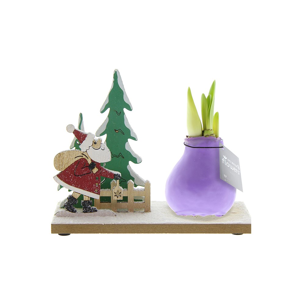 No Water Flowers® - Winter Wonderland - Pastel paars
