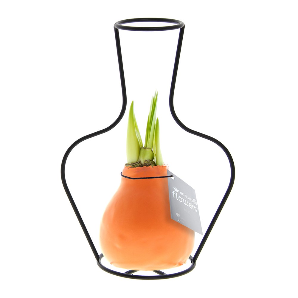 No Water Flowers® - Formz classic - Pastel oranje