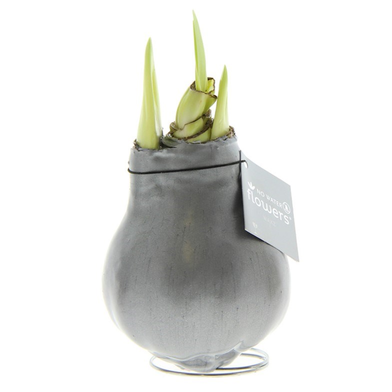 No Water Flowers® - Waxz® Colours - Zilver