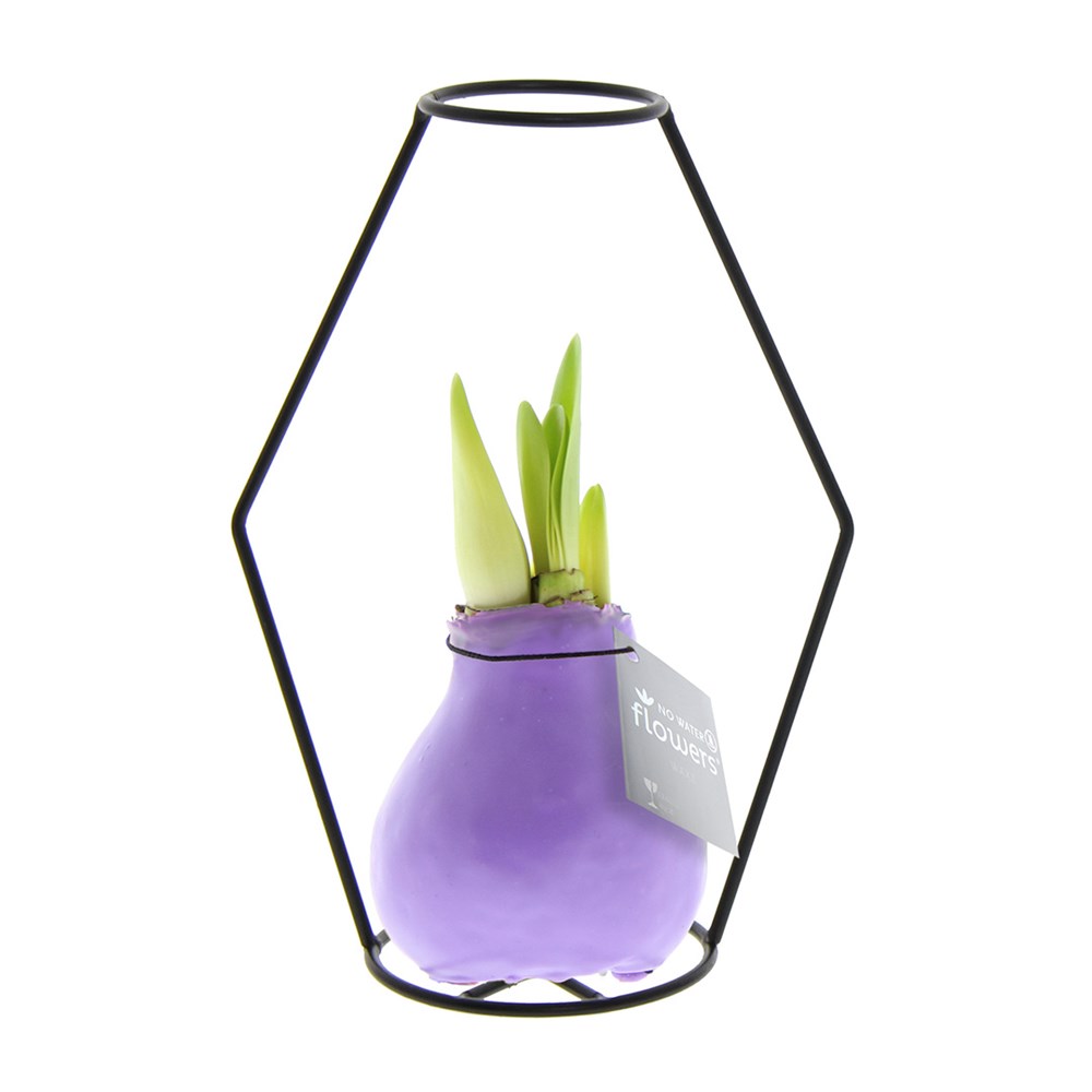 No Water Flowers® - Formz modern - Pastel paars