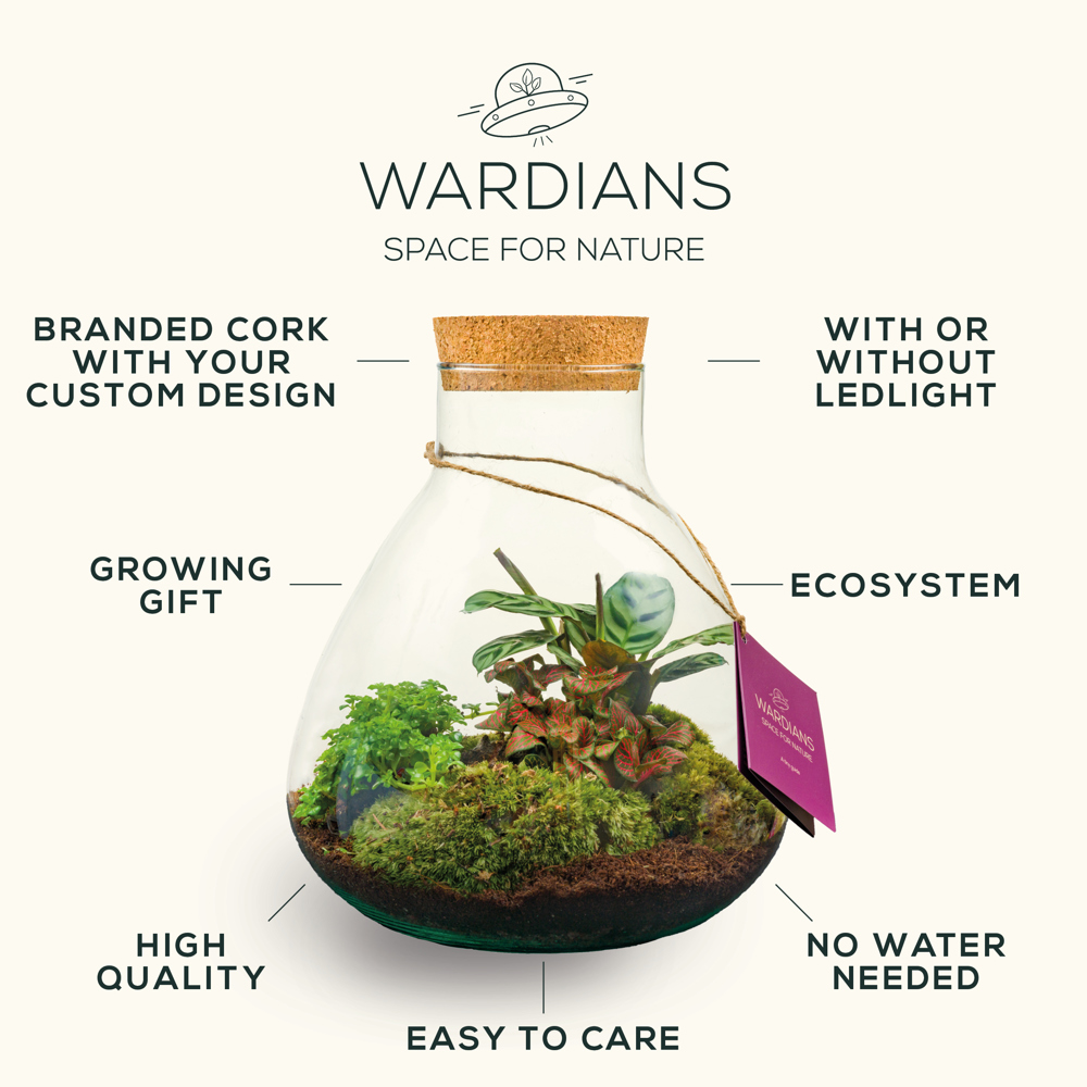 Wardians® Ecosystem - Wall hanger small, Zonder verpakking
