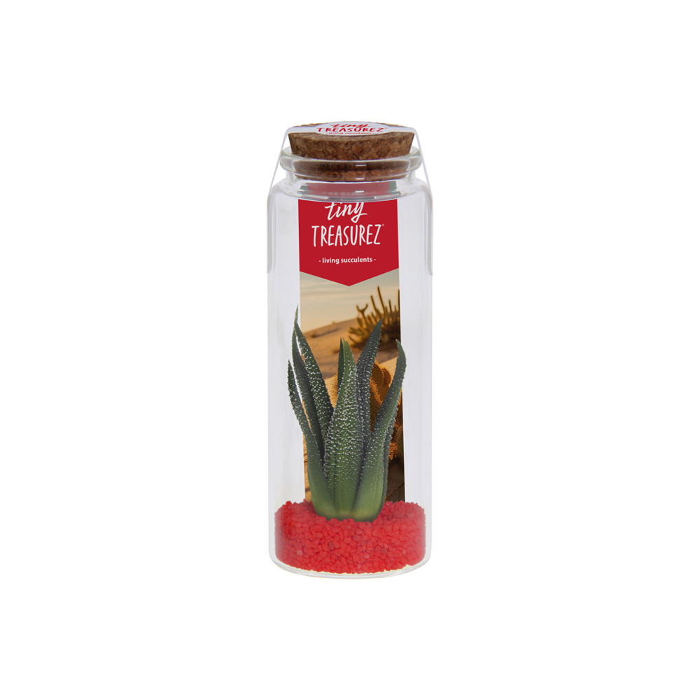 Tiny Treasurez® - Message in a bottle large - rood