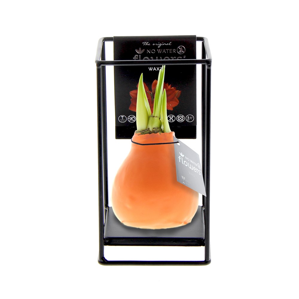 No Water Flowers® - Formz industrial - Pastel oranje