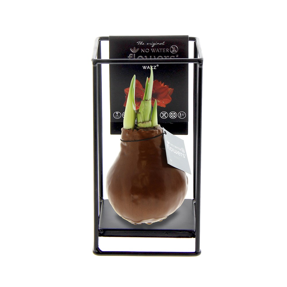 No Water Flowers® - Formz industrial - Koper