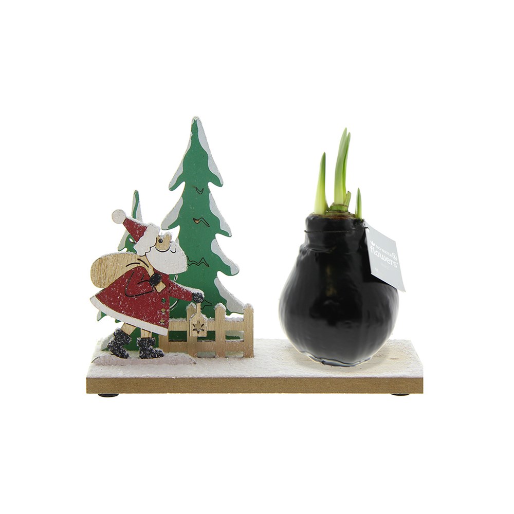 No Water Flowers® - Winter Wonderland - zwart