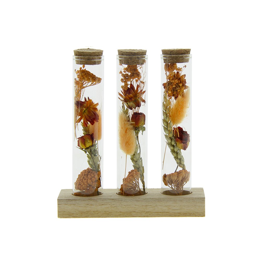 Dried Flowers - Trio tube & wood - Oranje