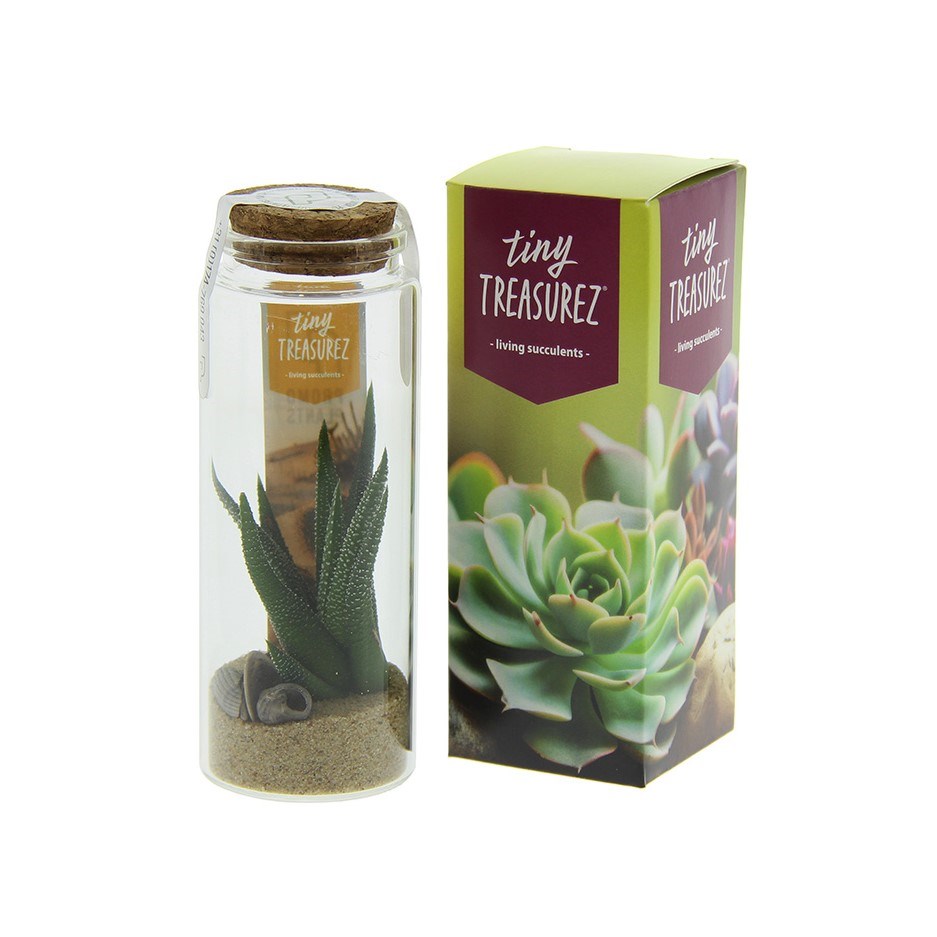 Tiny Treasurez® - Message in a bottle large, In giftbox, Oranje
