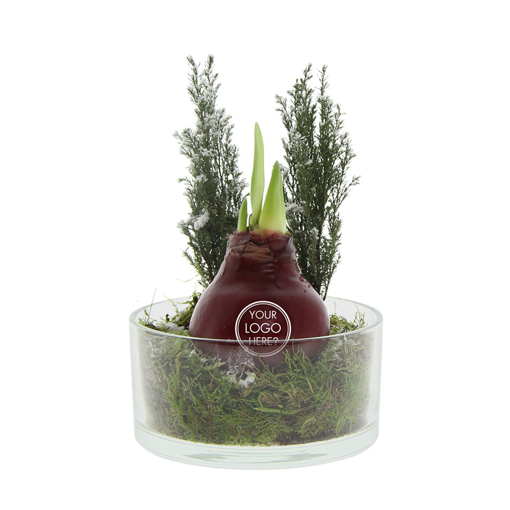 No Water Flowers® - Christmas glass elegance, Zonder verpakking, Lichtgroen