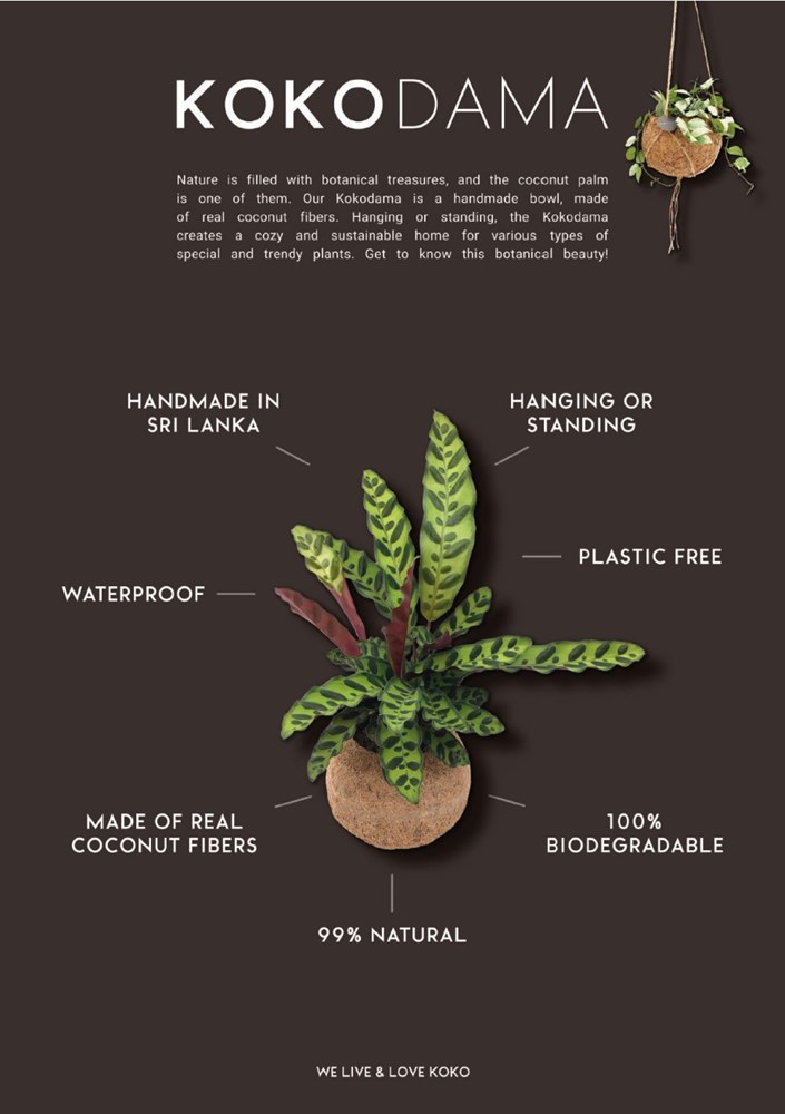 Kokodama® - Easy care mix (XS), In giftbox