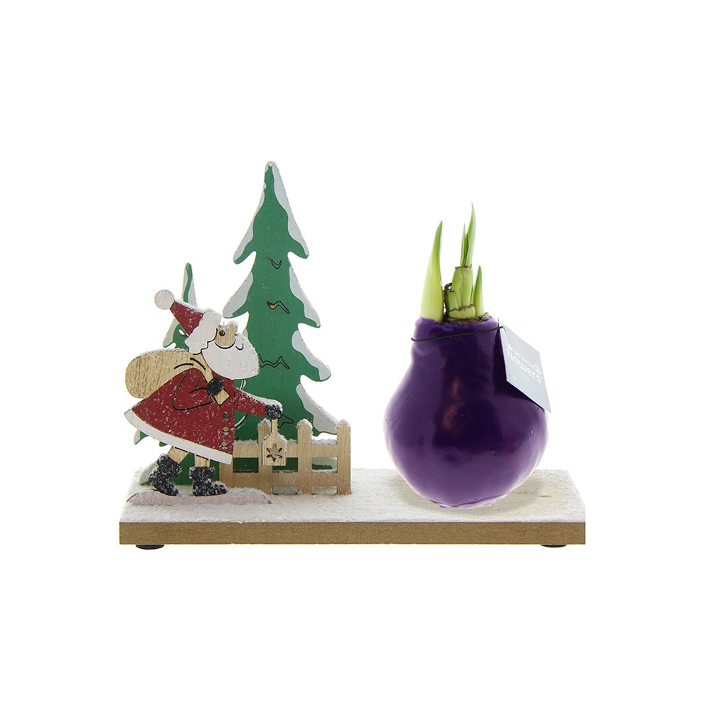 No Water Flowers® - Winter Wonderland - Paars