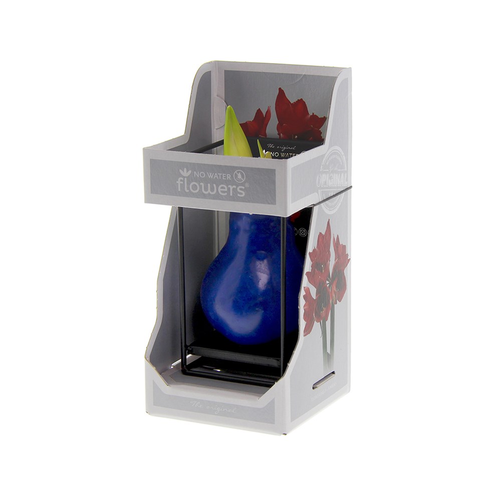 No Water Flowers® - Formz industrial, In giftbag, Wit