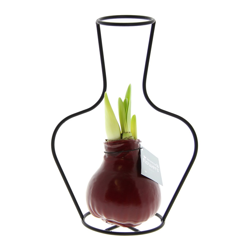 No Water Flowers® - Formz classic - Bordeaux