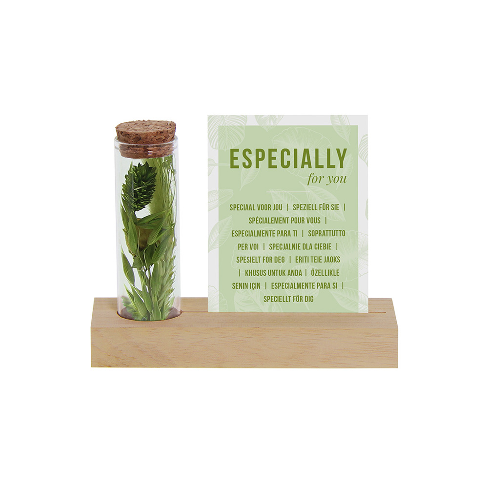 Dried Flowers - Cardholder & tube - groen