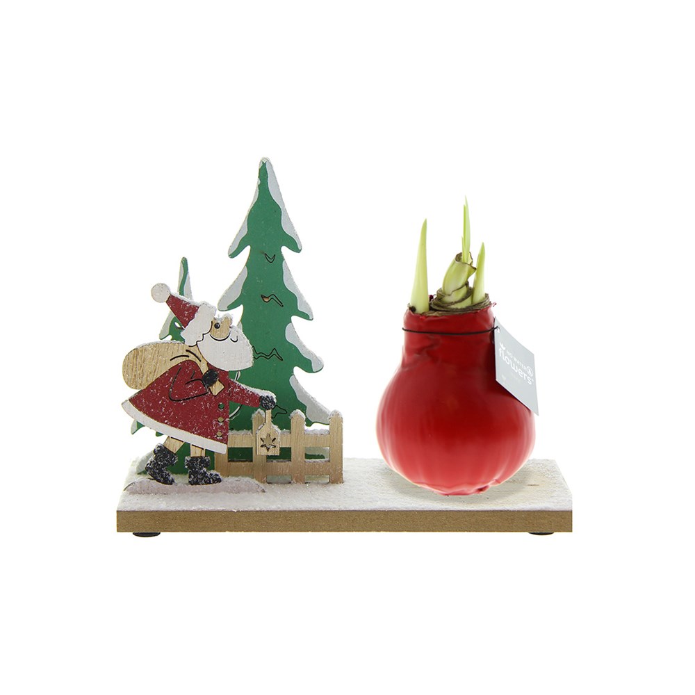 No Water Flowers® - Winter Wonderland - rood