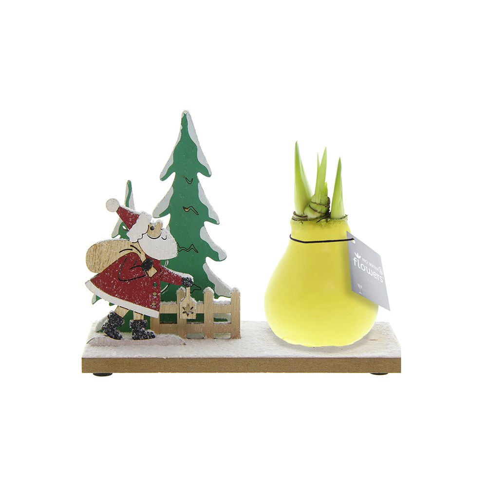 No Water Flowers® - Winter Wonderland - Pastel geel
