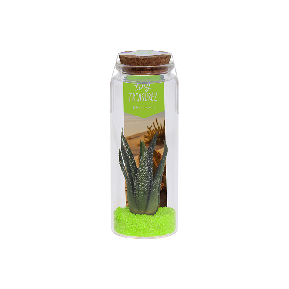 Tiny Treasurez® - Message in a bottle large - groen