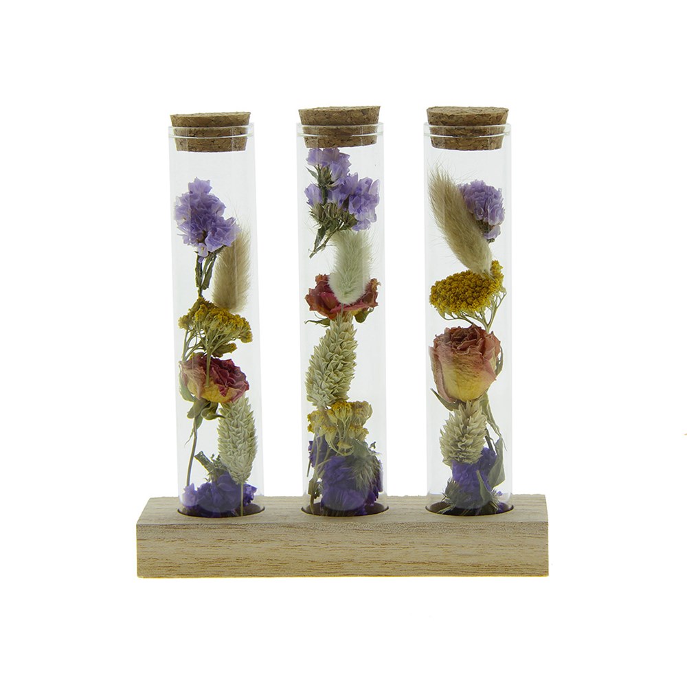 Dried Flowers - Trio tube & wood - Multicolor