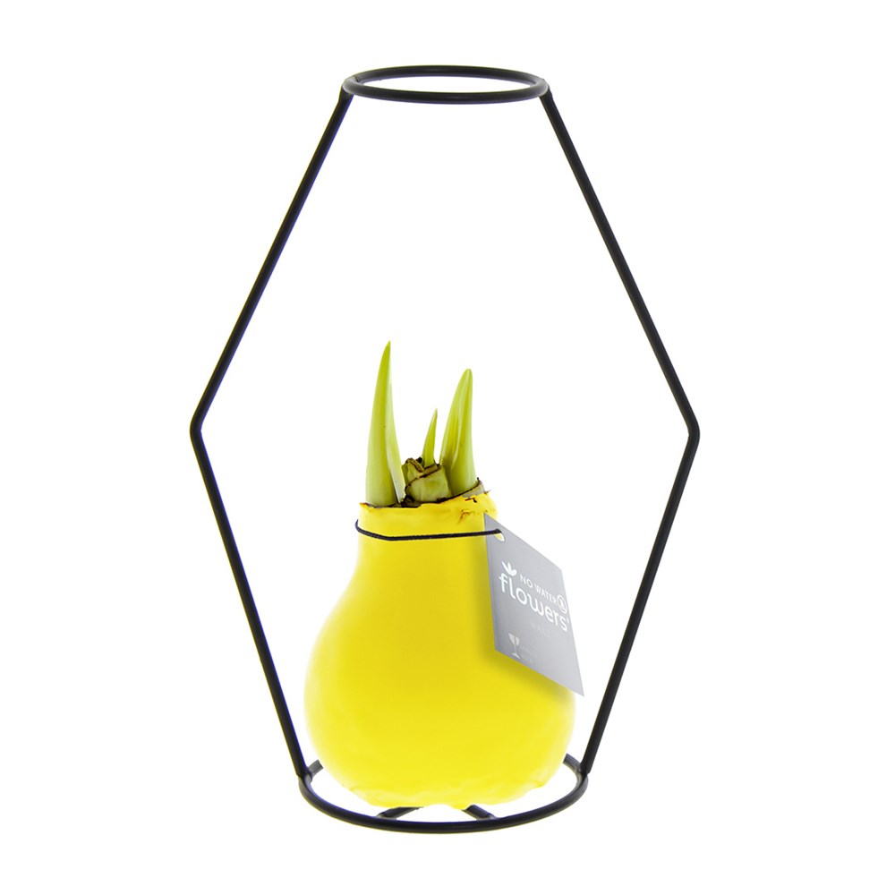 No Water Flowers® - Formz modern - geel