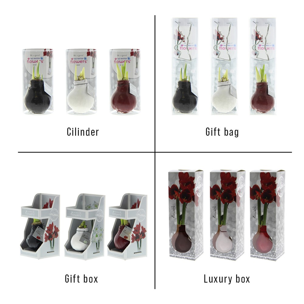 No Water Flowers® - Jingle Bellz, In luxury box, Blauw
