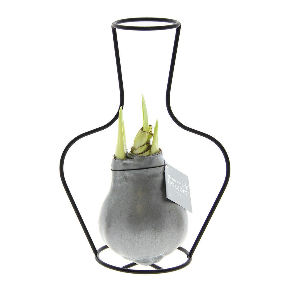 No Water Flowers® - Formz classic - Zilver