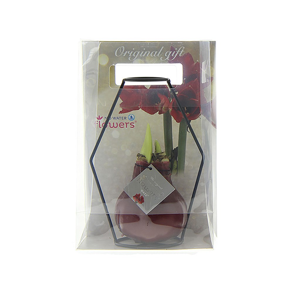 No Water Flowers® - Formz modern, In luxury box, Bordeaux