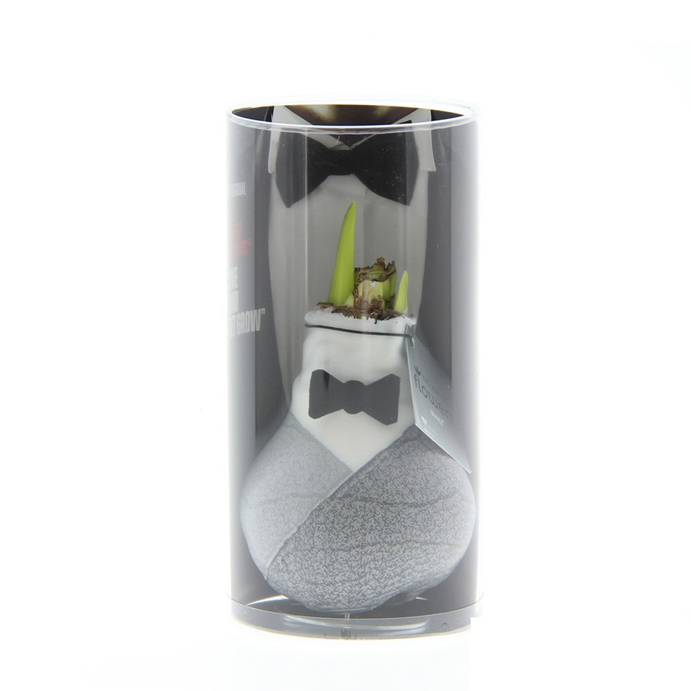 No Water Flowers® - Giletz Bowtie, In cilInder