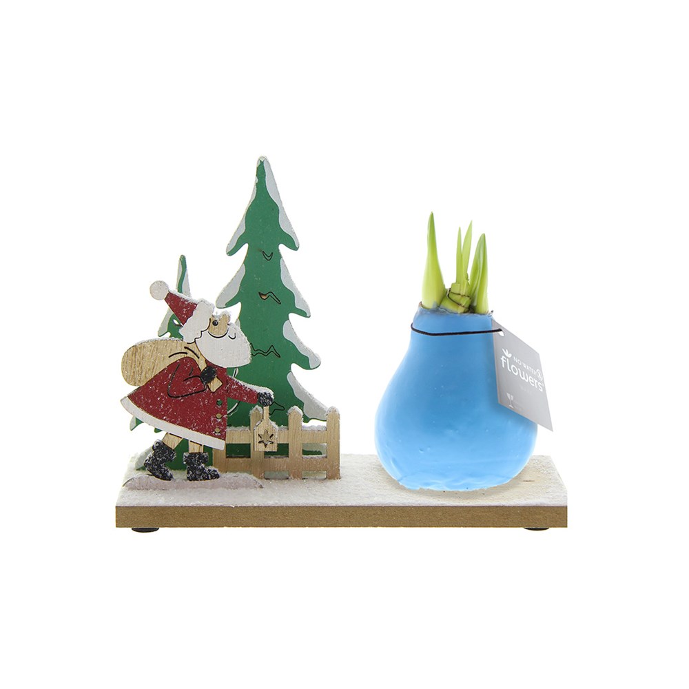 No Water Flowers® - Winter Wonderland - pastel blauw