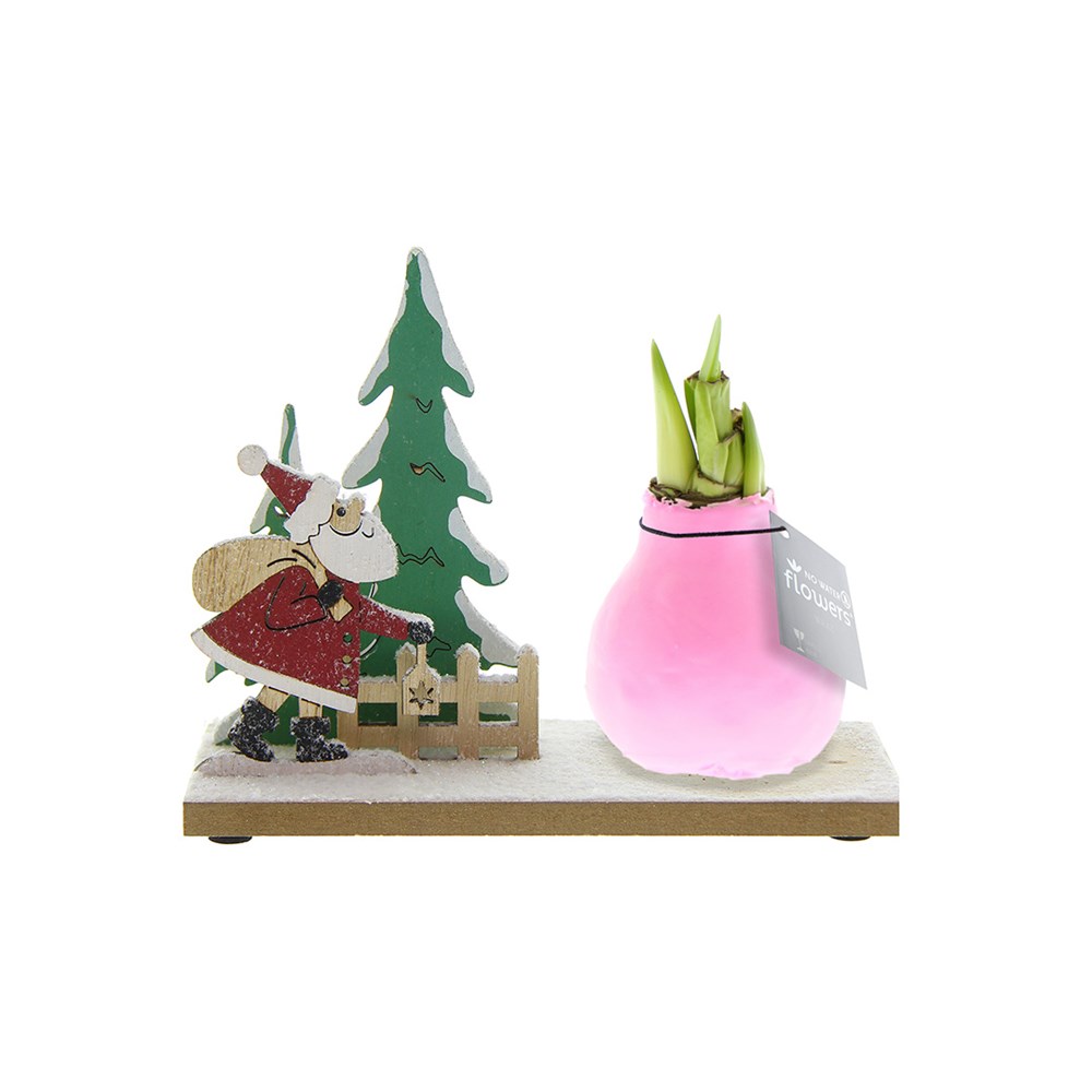 No Water Flowers® - Winter Wonderland - pastel roze